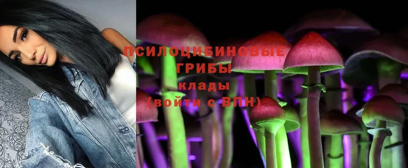 Галлюциногенные грибы Magic Shrooms  Тосно 